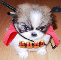 Detective Dawg
